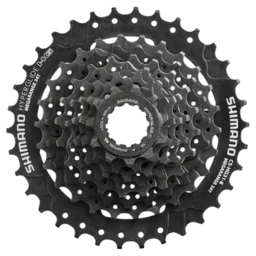 Задние звезды