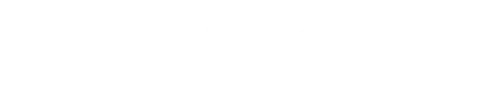 Логотип ID Check